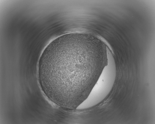 X0000064741099200602241747