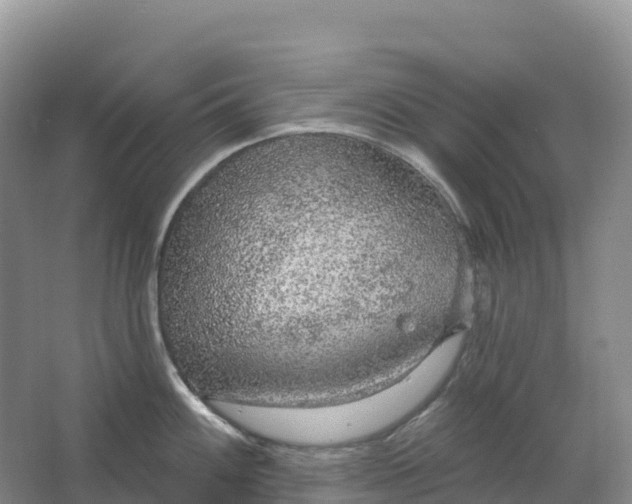 X0000064741100200602241747