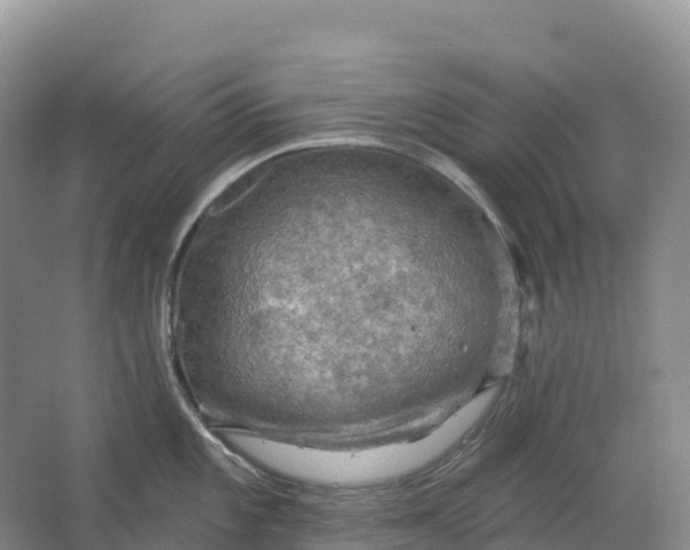 X0000064741101200602241747