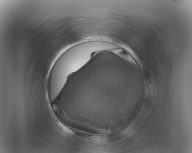 X0000064741102200602241747