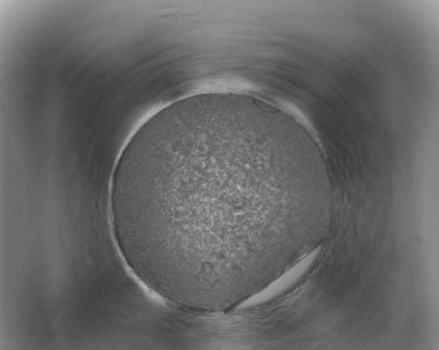 X0000064741103200602241747