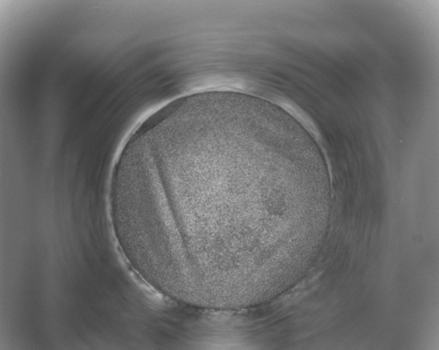 X0000064741104200602241747