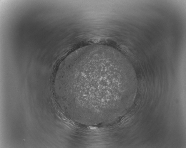 X0000064741105200602241746