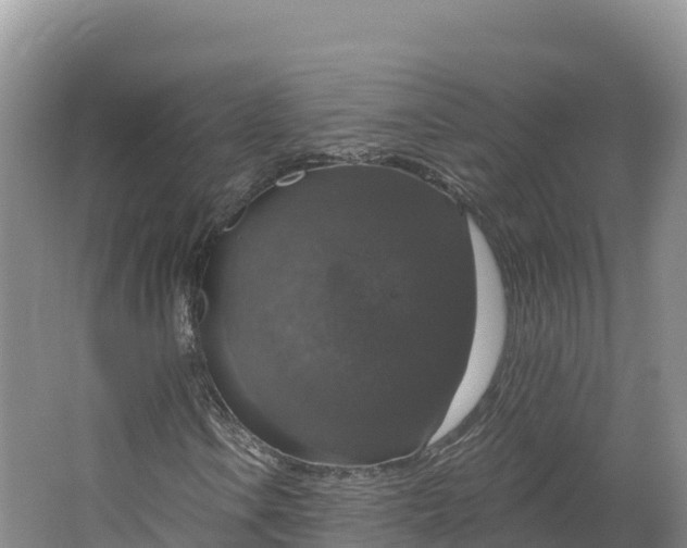 X0000064741106200602241746