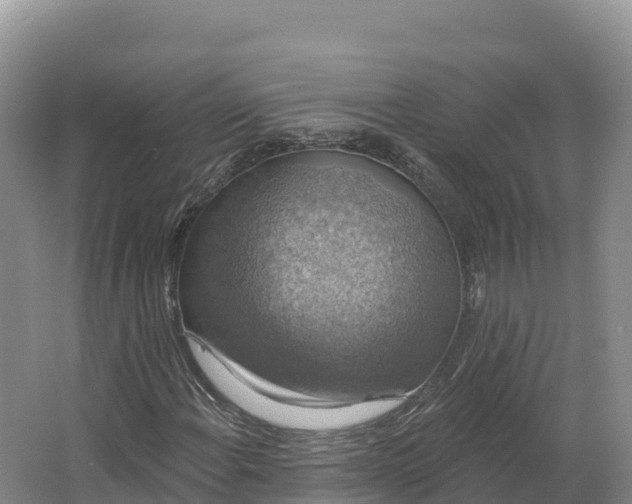 X0000064741108200602241746