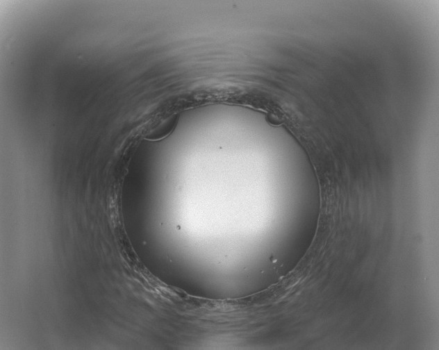 X0000064741109200602241746