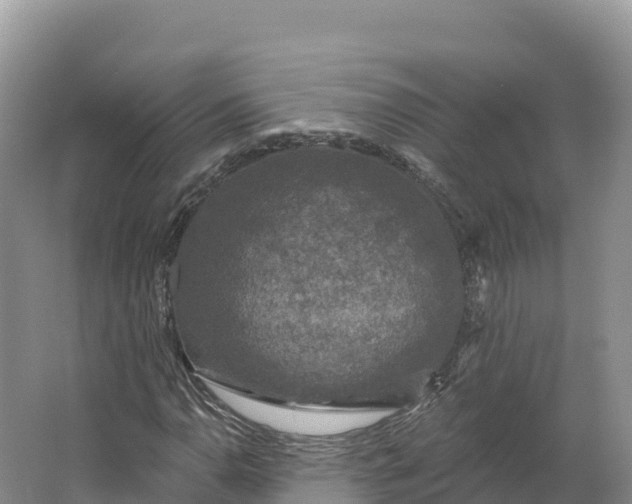 X0000064741110200602241746