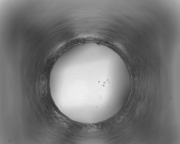 X0000064741111200602241746