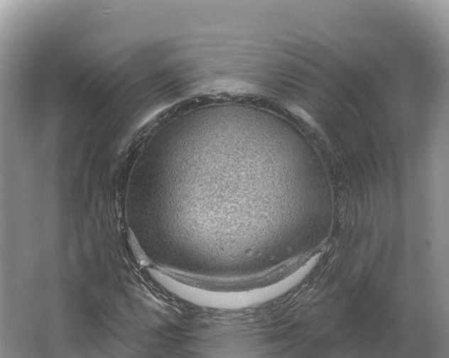 X0000064741112200602241746