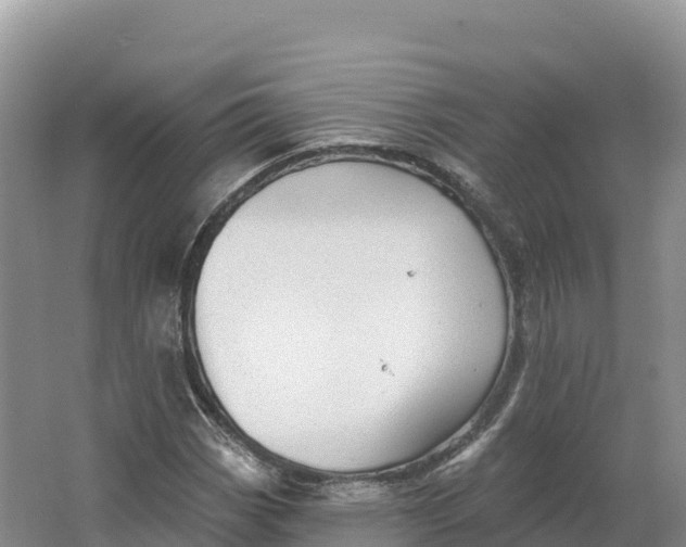 X0000064741113200602241746