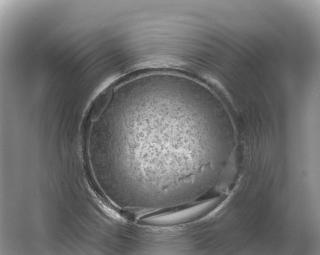 X0000064741114200602241746