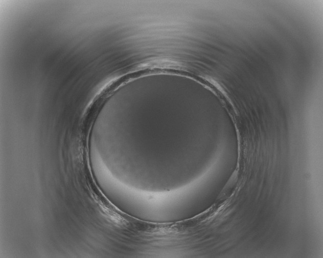 X0000064741115200602241746