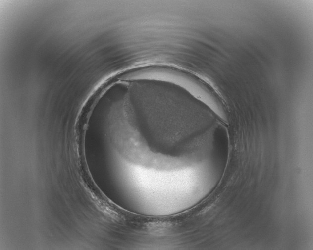 X0000064741118200602241746