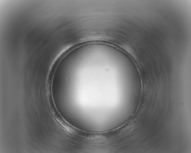 X0000064741119200602241746