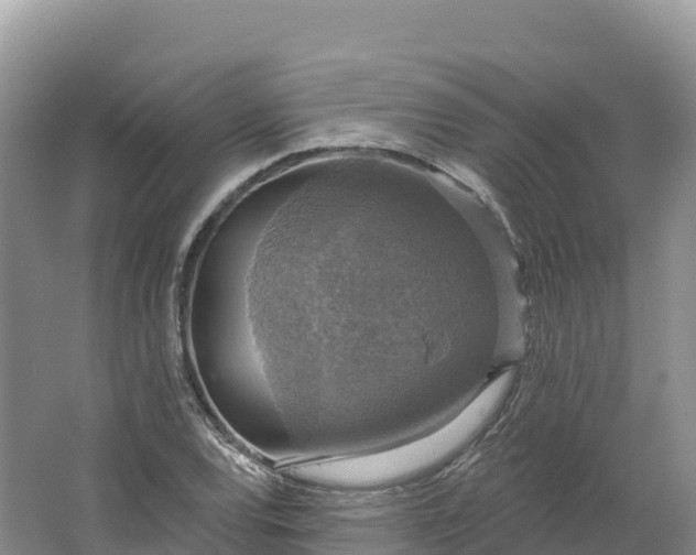 X0000064741120200602241746