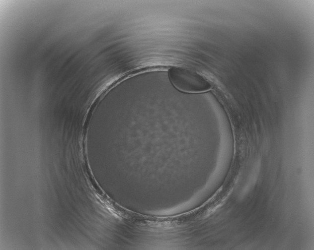 X0000064741121200602241746