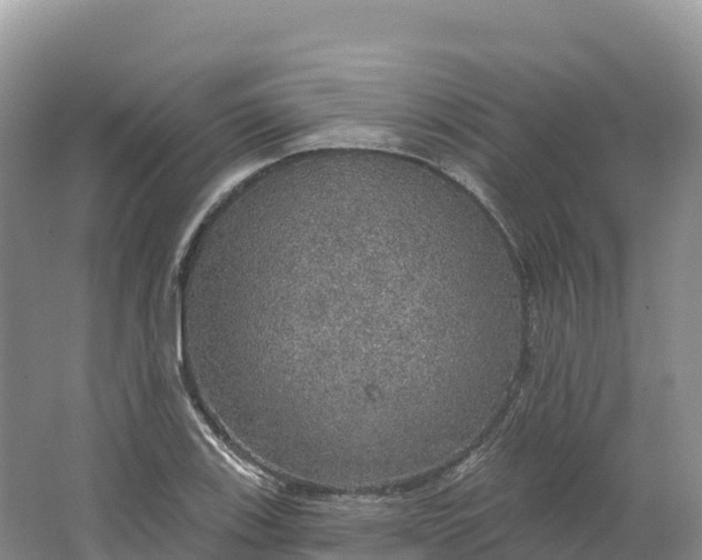 X0000064741123200602241746