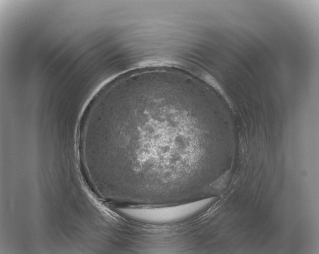 X0000064741124200602241747