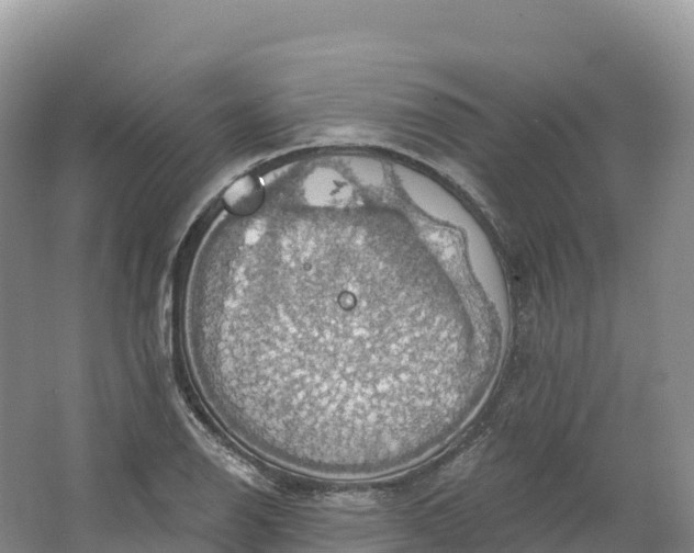 X0000064741126200602241747