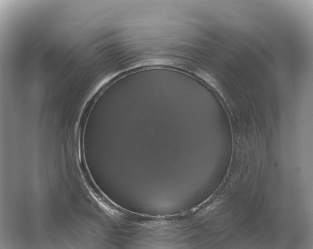 X0000064741127200602241747