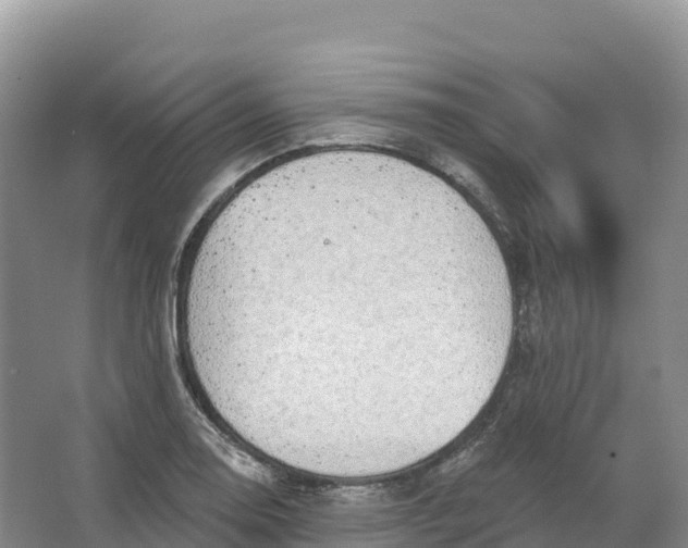 X0000064741130200602241747