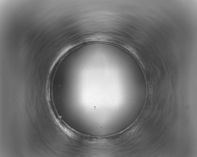 X0000064741131200602241747