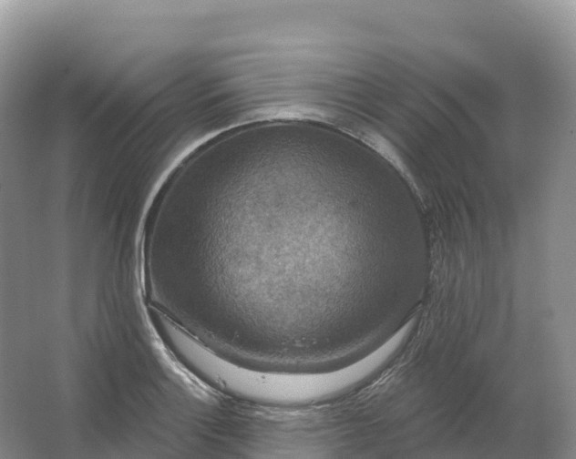 X0000064741132200602241747