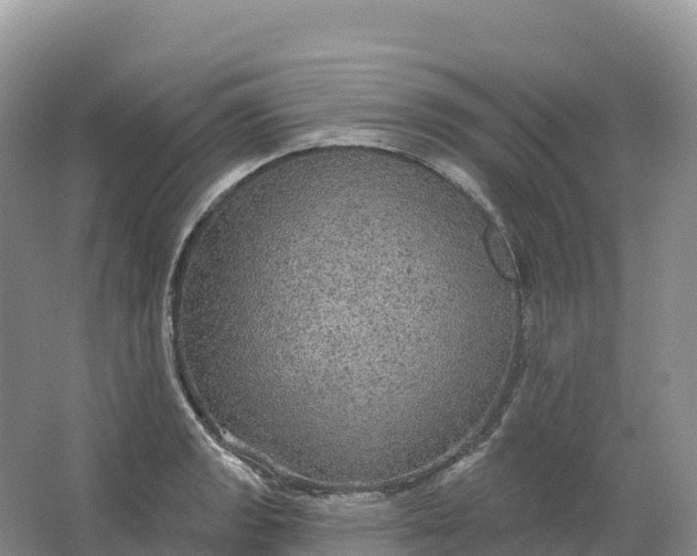 X0000064741133200602241747