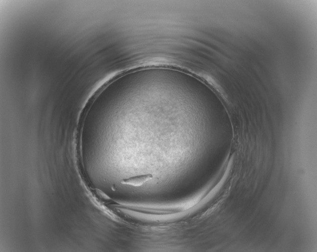 X0000064741134200602241747