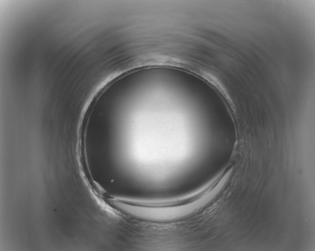 X0000064741136200602241747