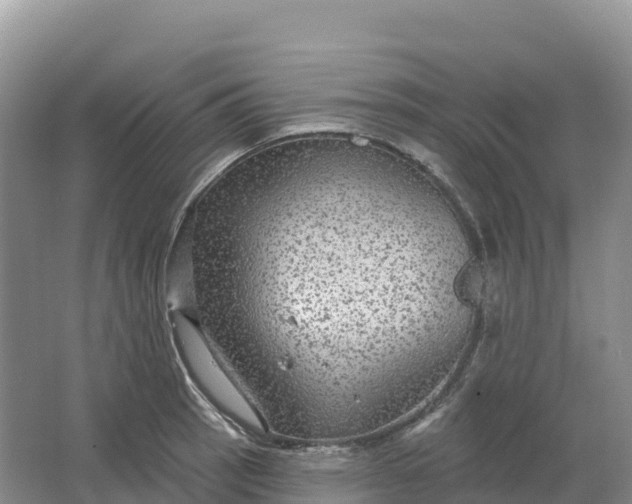 X0000064741137200602241747