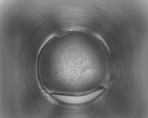 X0000064741138200602241747