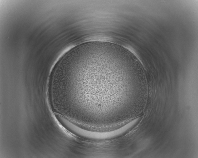 X0000064741139200602241747