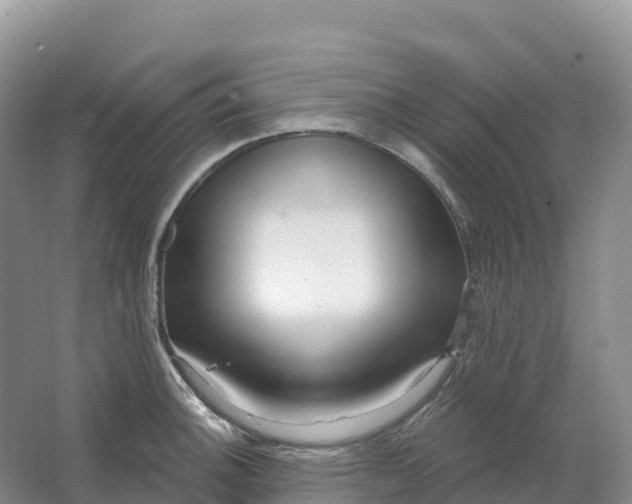 X0000064741140200602241747