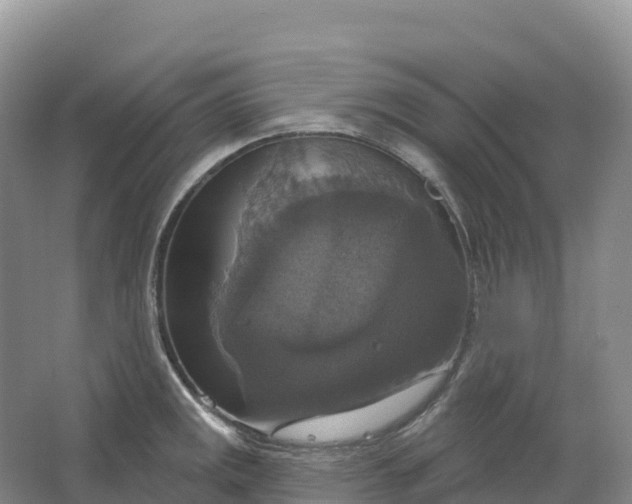 X0000064741141200602241747