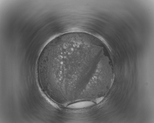 X0000064741142200602241747