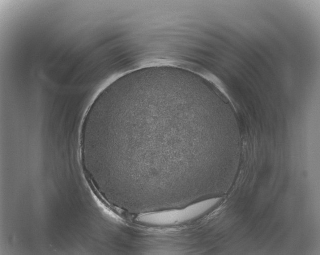 X0000064741143200602241747