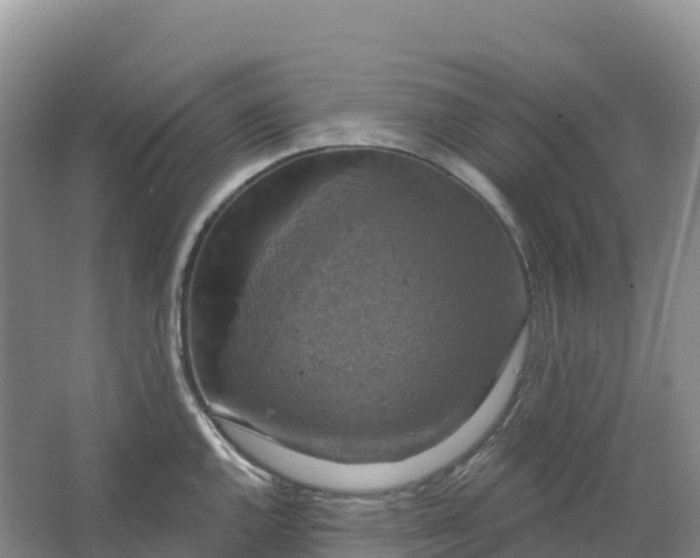 X0000064741144200602241747