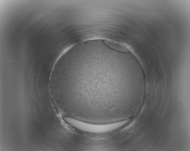 X0000064741145200602241747