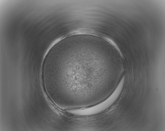 X0000064741146200602241747