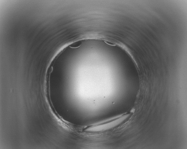 X0000064741147200602241747