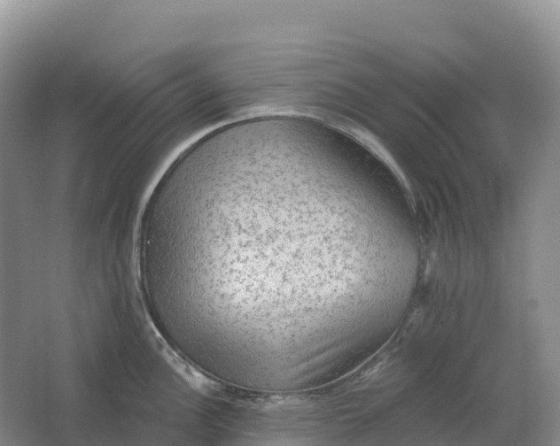 X0000064741148200602241747