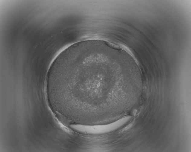 X0000064741149200602241747