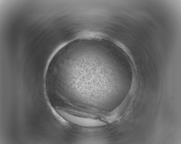 X0000064741152200602241747