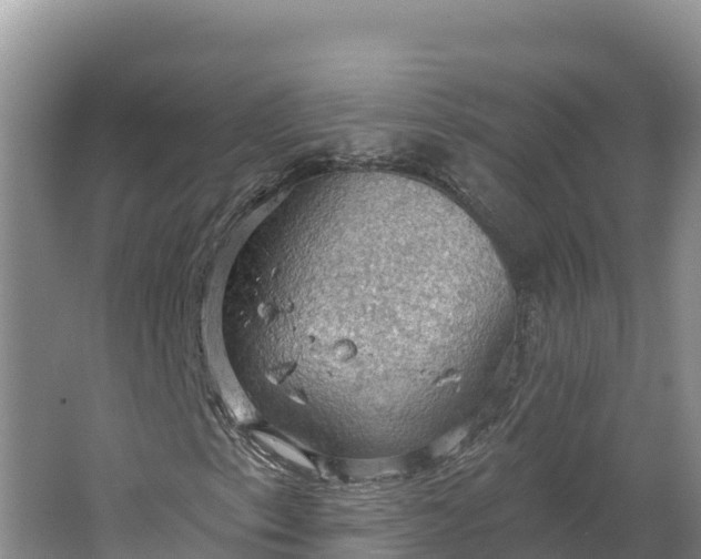 X0000064741153200602241746