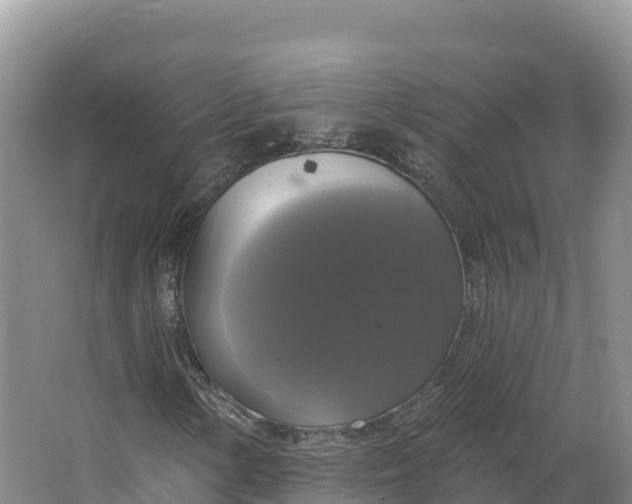 X0000064741154200602241746