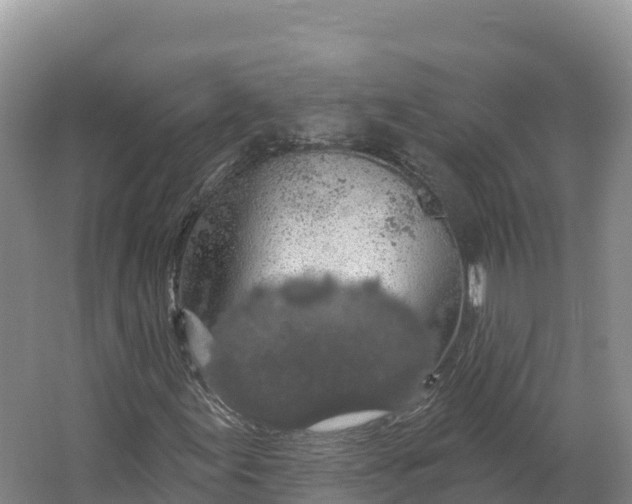 X0000064741155200602241746