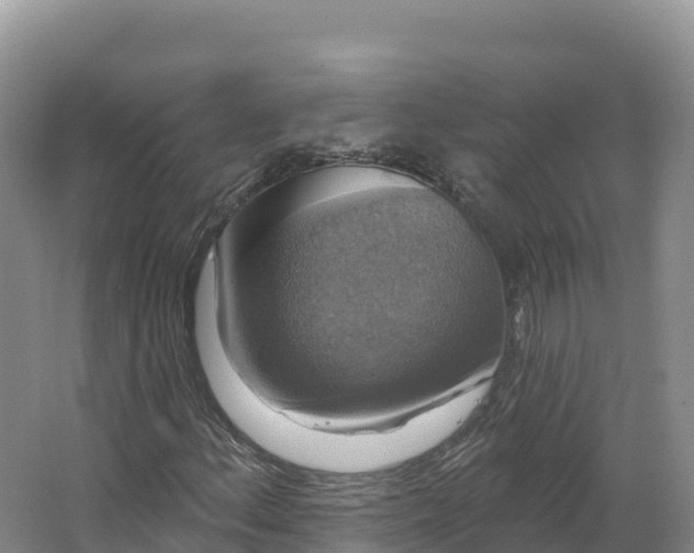 X0000064741156200602241746