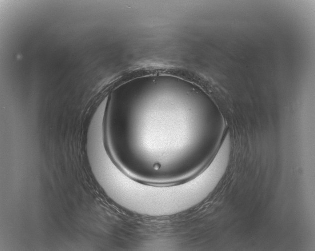 X0000064741157200602241746