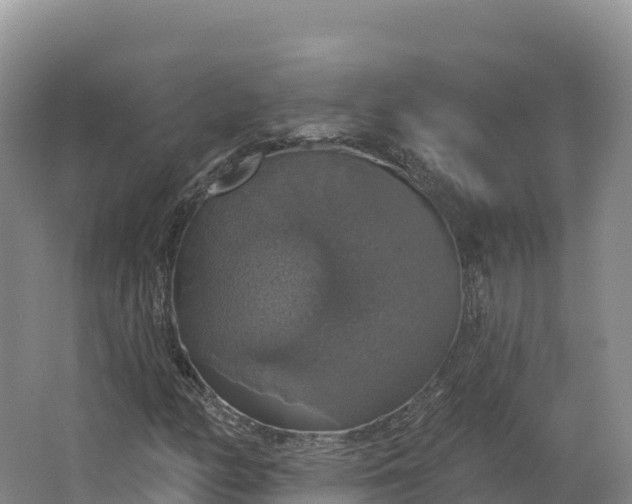 X0000064741158200602241746